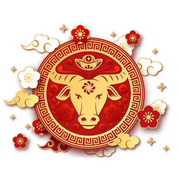 Feng Shui – Re-imagined